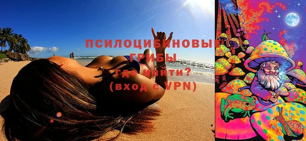 индика Белоозёрский