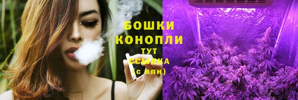 твердый Снежногорск
