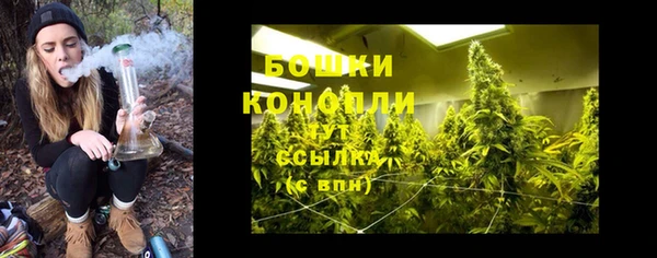 твердый Снежногорск