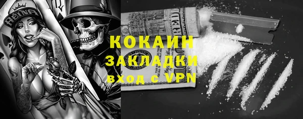 индика Белоозёрский