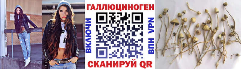 Галлюциногенные грибы Psilocybe  МЕГА онион  Верещагино  закладка 